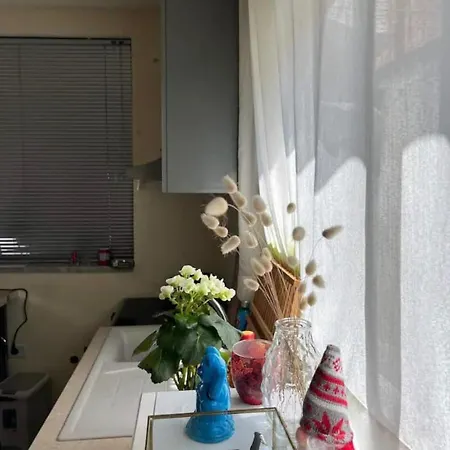 Apartment Brilant Center